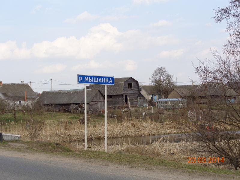 DSC00275.jpg
