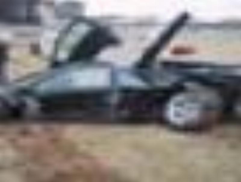 spaser8887