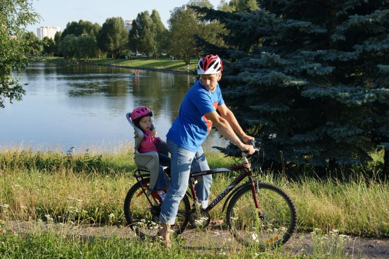 korichnevyy_Giant_Canpus__2222.jpg