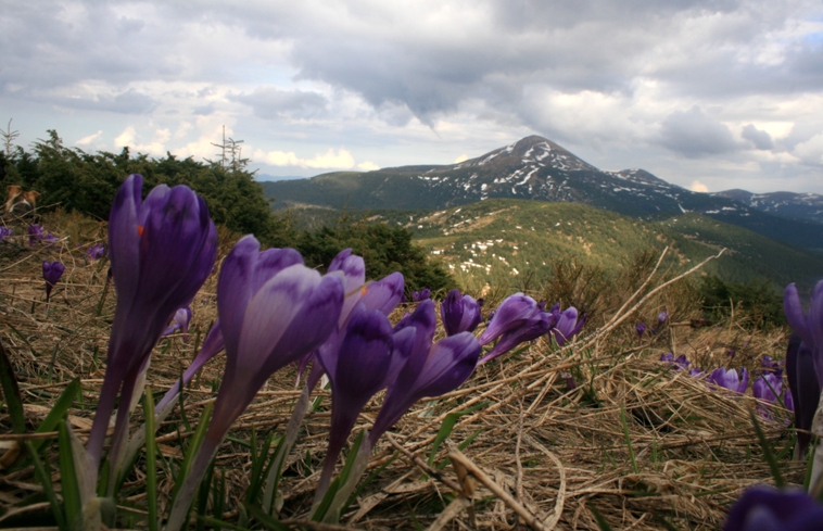 IMG_3504_2.JPG