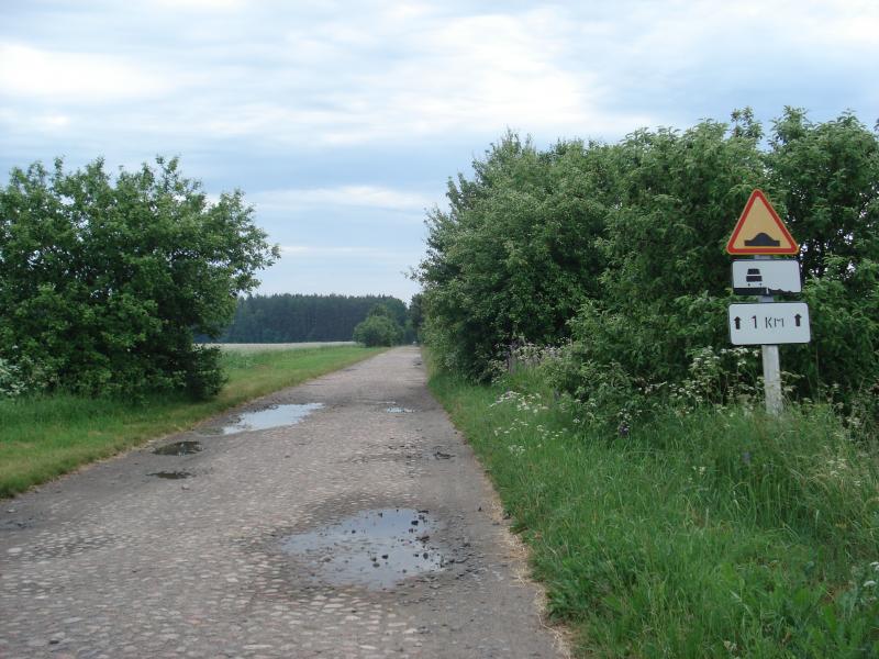DSC03964.jpg
