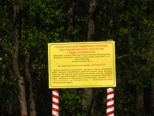 IMG_7657.jpg