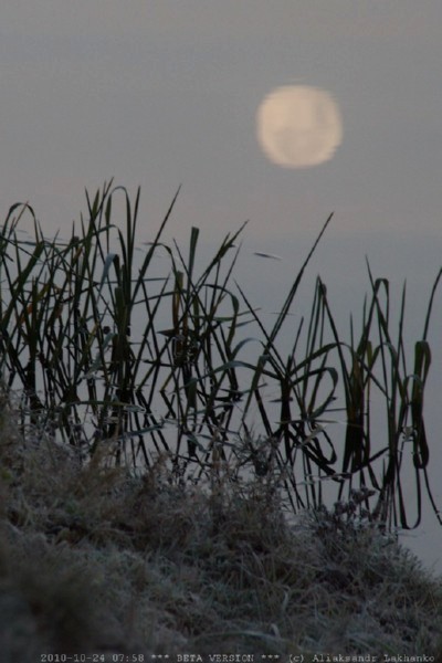 img_5412_crop_small.jpg