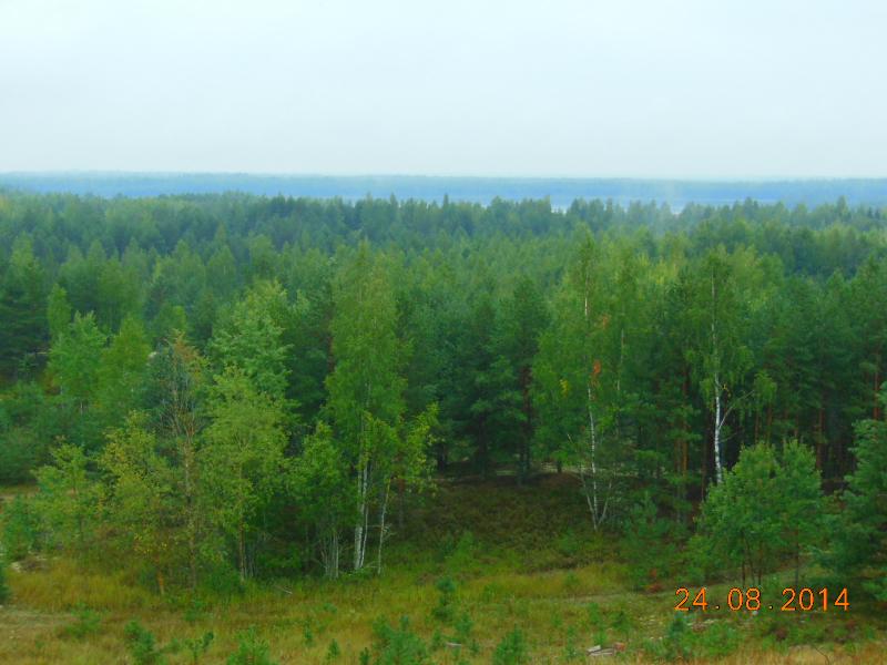 DSCN3056.jpg
