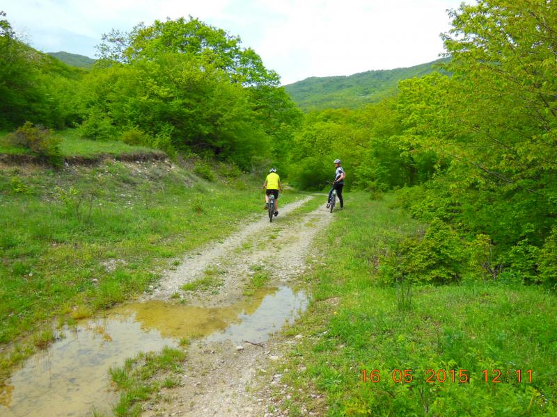 DSCN5186.jpg