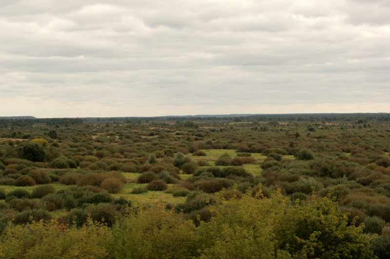 175.JPG