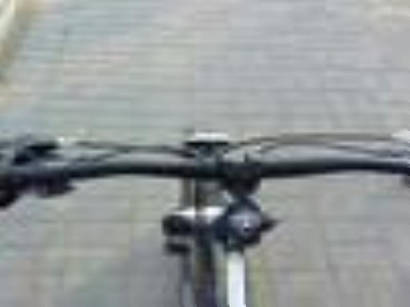 avalanche_rider