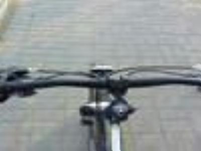 avalanche_rider