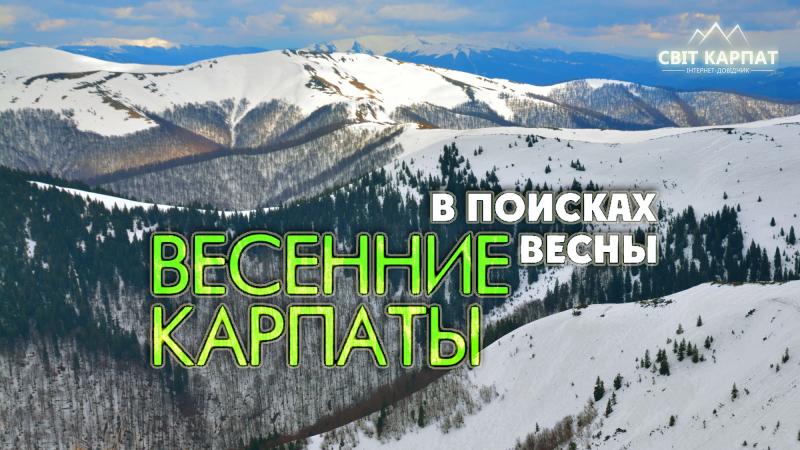 Zastavka_KARPATY_svit_karpat.jpg