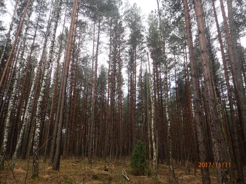 PB110015.jpg