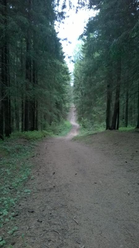 WP_20140510_005.jpg