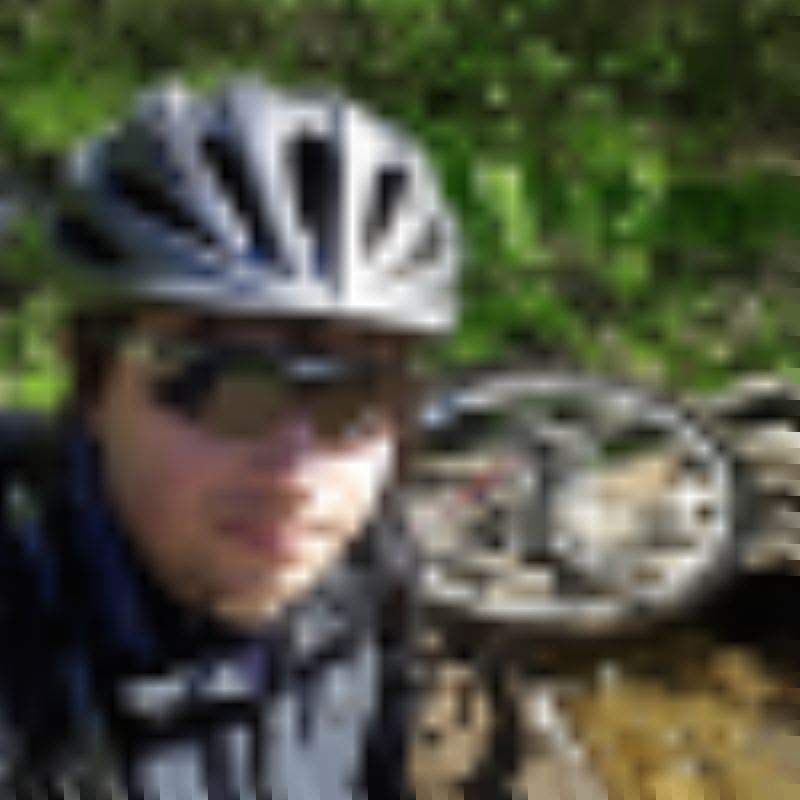 feedbee