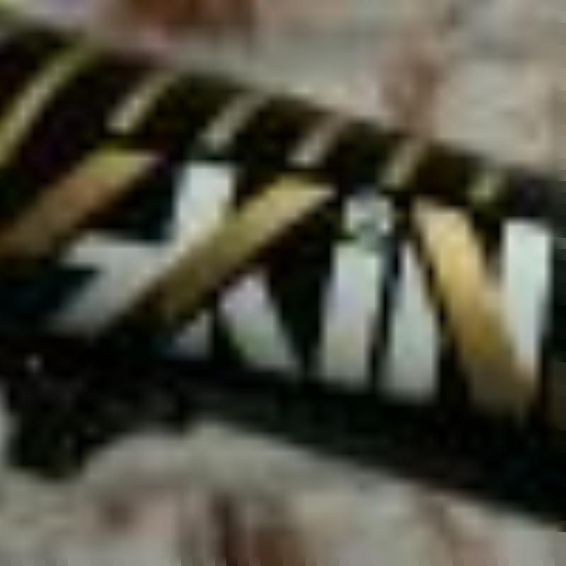 GostSV