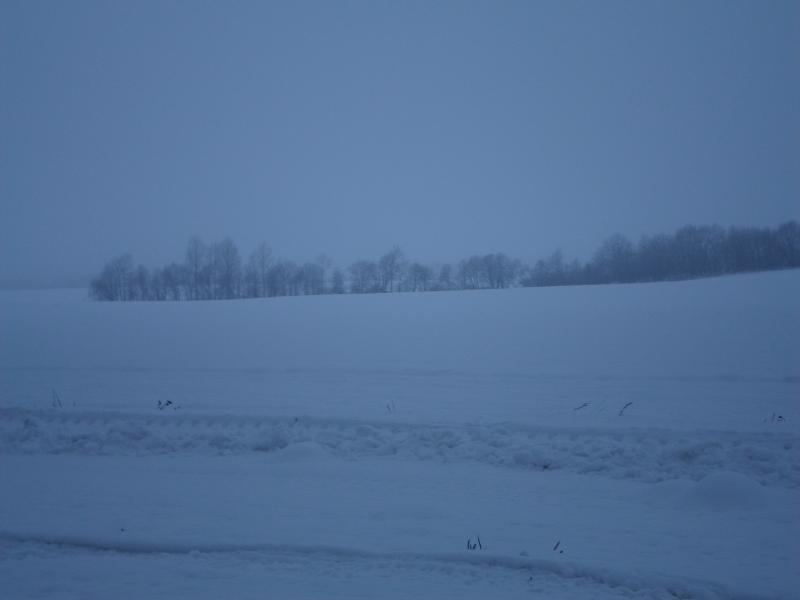 SAM_0800.jpg