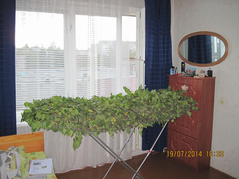 IMG_1583_2.jpg