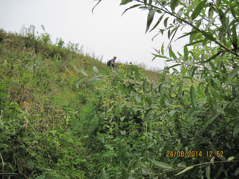 IMG_1614-izm.jpg