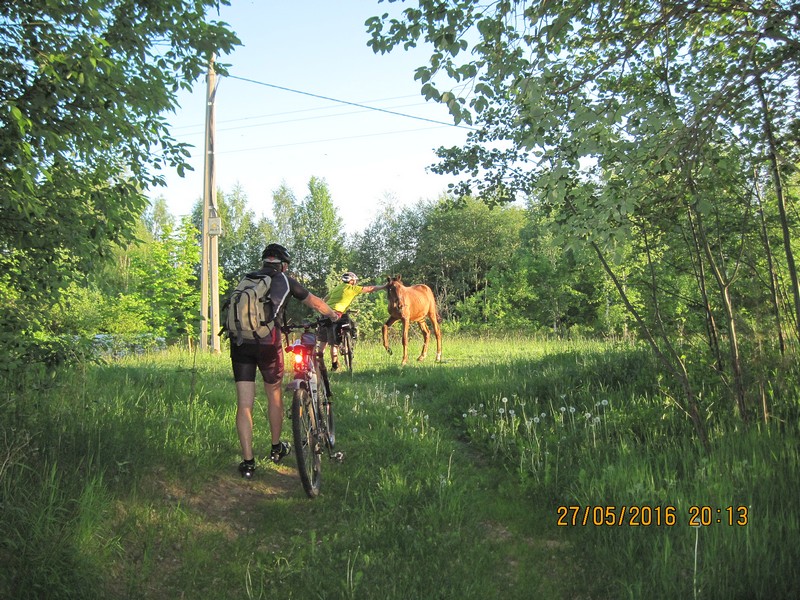 IMG_2637-izm.JPG