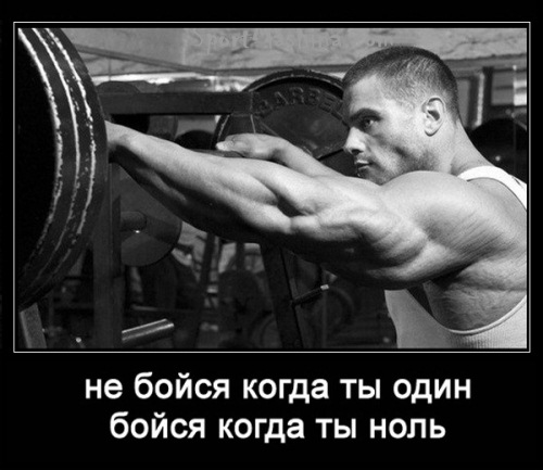 kogda_ty_nol'.jpeg