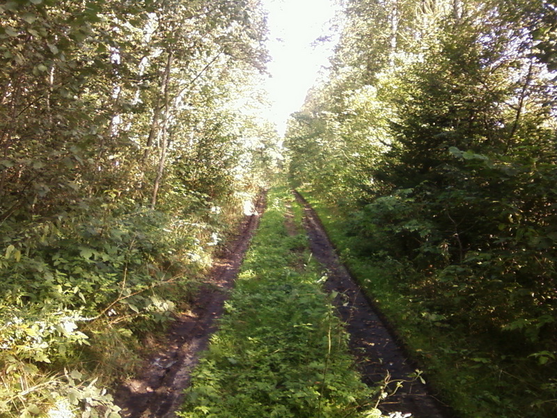 Foto-0007_3.jpg