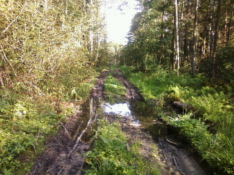 Foto-0009_3.jpg