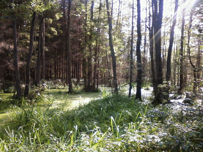 Foto-0008_5.jpg