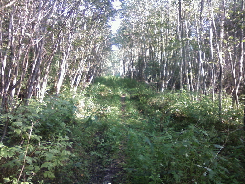 Foto-0010_3.jpg