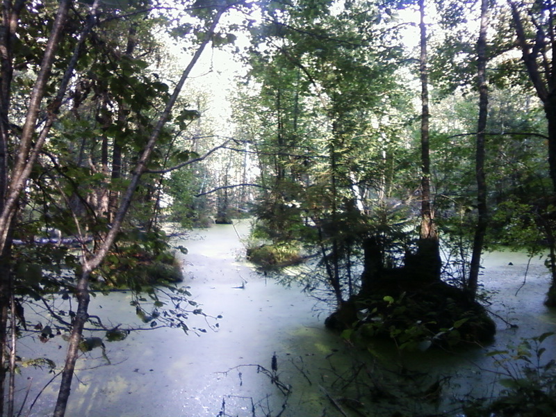 Foto-0012_4.jpg