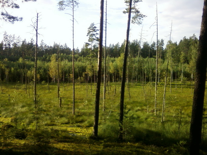 Foto-0014_2.jpg