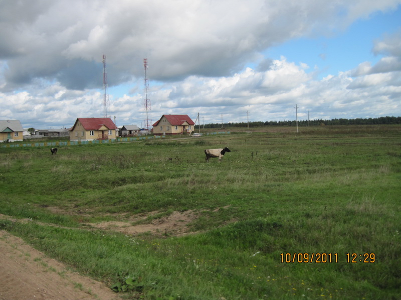 IMG_2964-izm.jpg