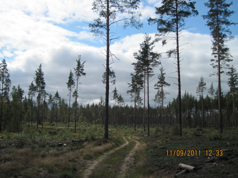 IMG_3054-izm.jpg