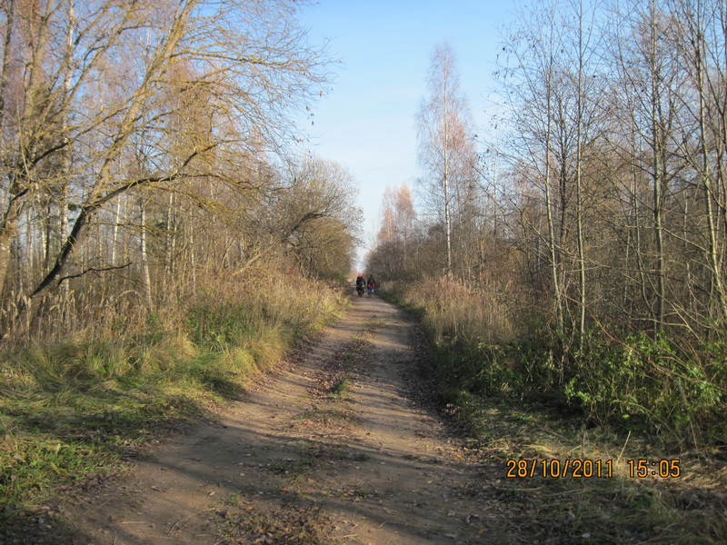IMG_3163-izm.jpg