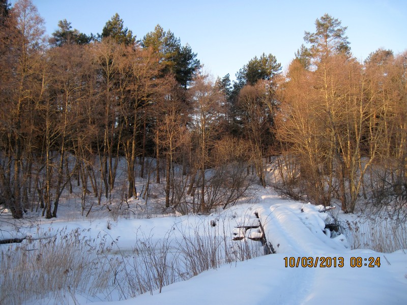 IMG_5289-izm.jpg