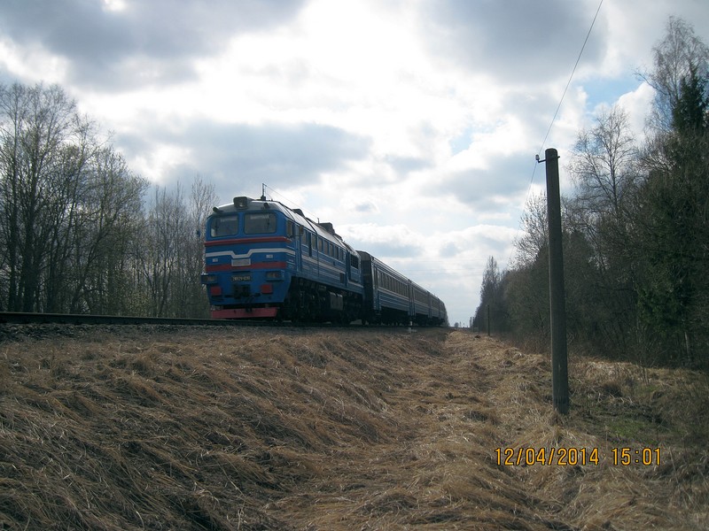 IMG_9101-izm.jpg
