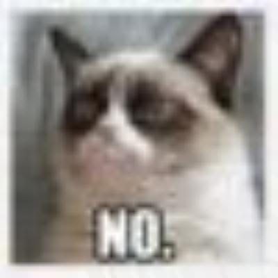 Cat Grumpy