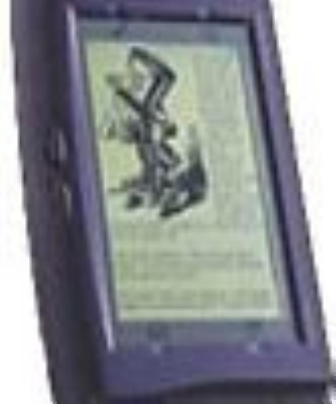 imb