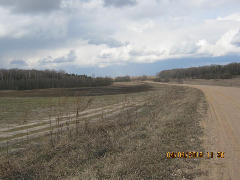 subbota_04.04.15_025.jpg