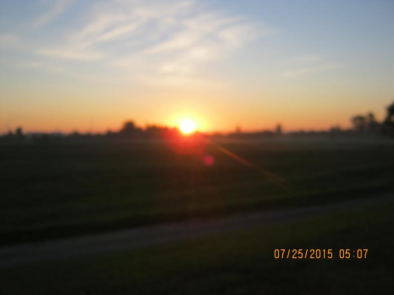 Foty_001_2.jpg