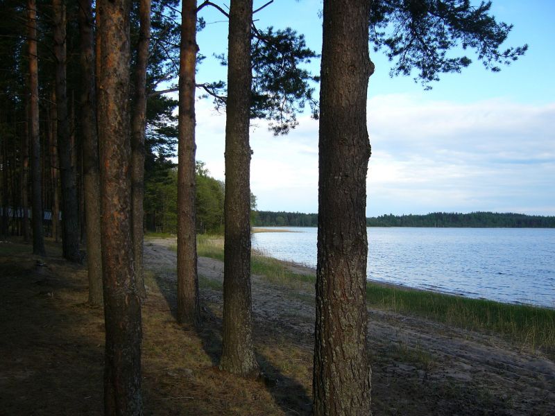 300934_38.jpg