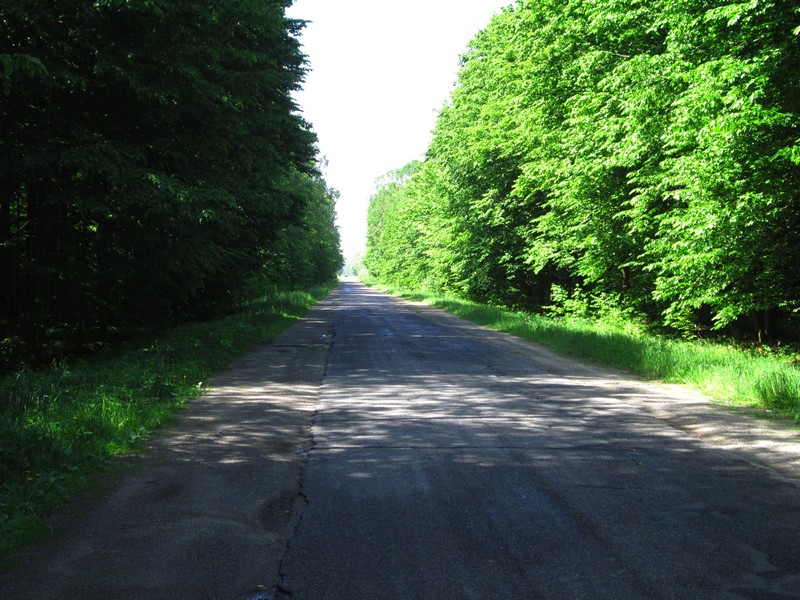 Izobrazhenie_058_5.jpg