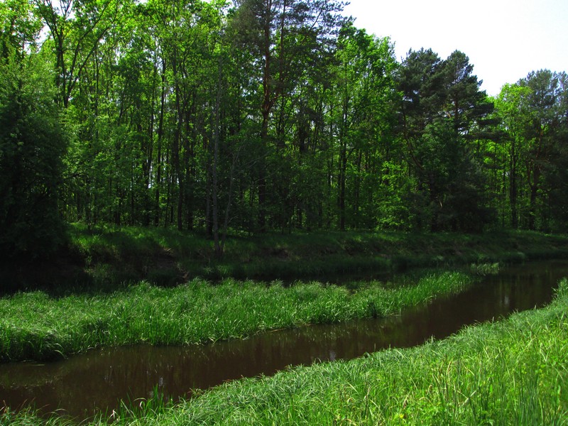 Izobrazhenie_081_4.jpg