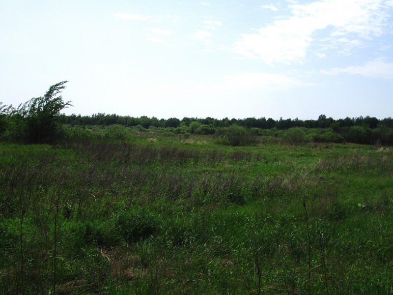 Izobrazhenie_083_4.jpg
