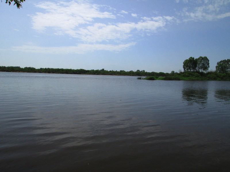 Izobrazhenie_085_4.jpg