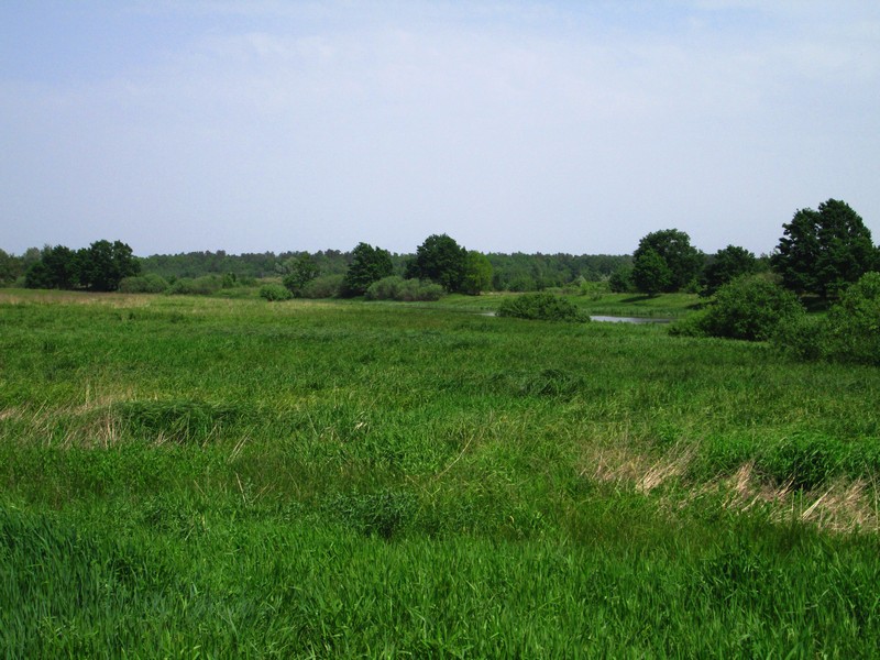 Izobrazhenie_096_4.jpg