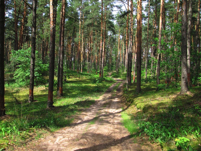 Izobrazhenie_112_6.jpg