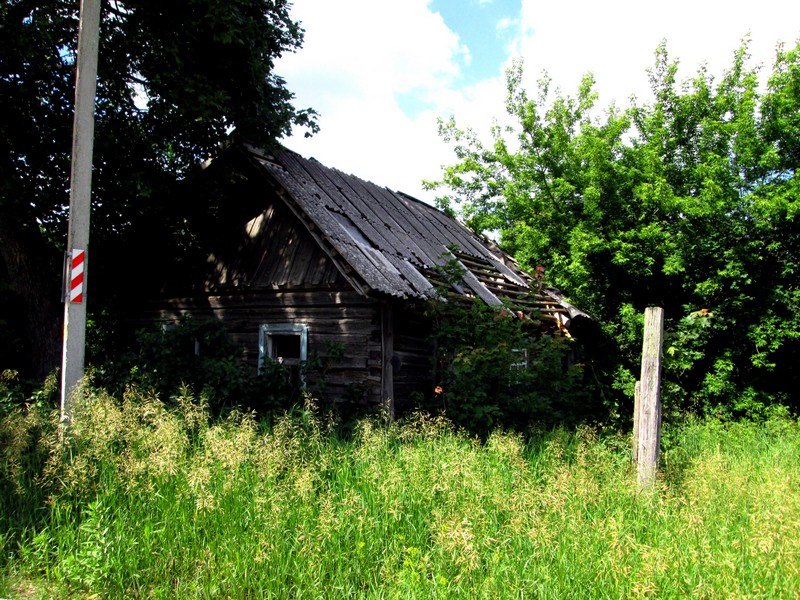 Izobrazhenie_228.jpg