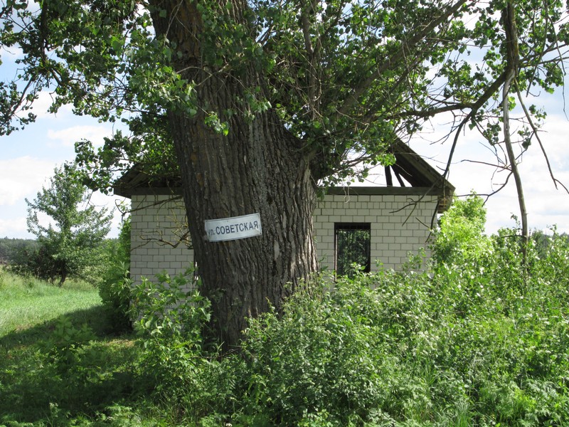 Izobrazhenie_234.jpg