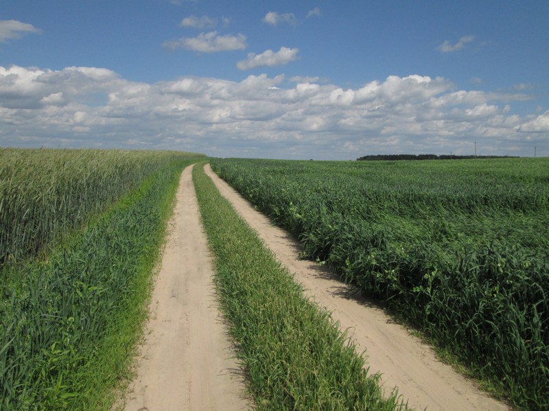 Izobrazhenie_236_2.jpg