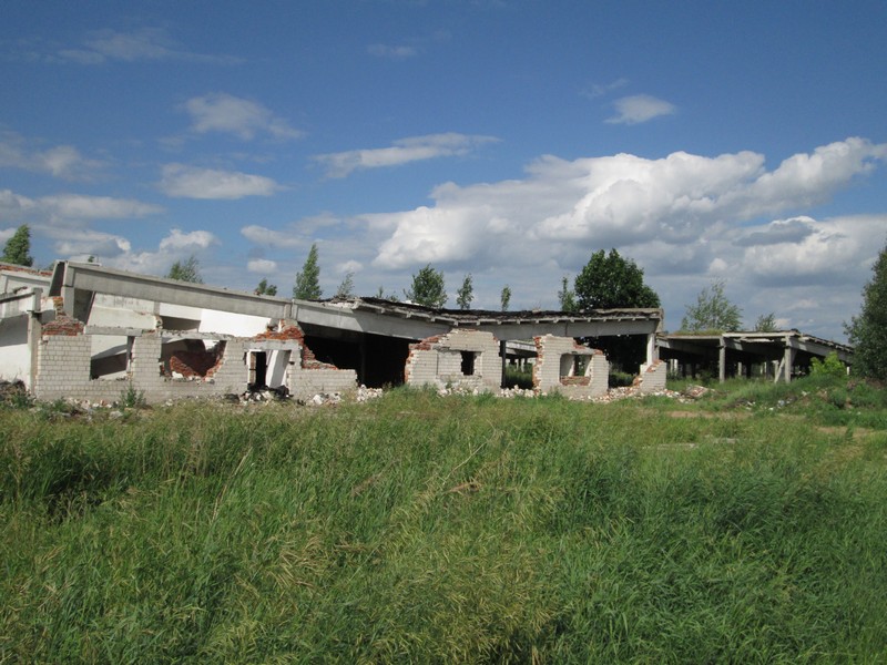 Izobrazhenie_240_2.jpg