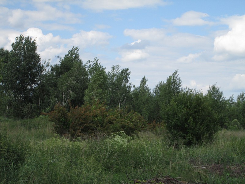 Izobrazhenie_242.jpg