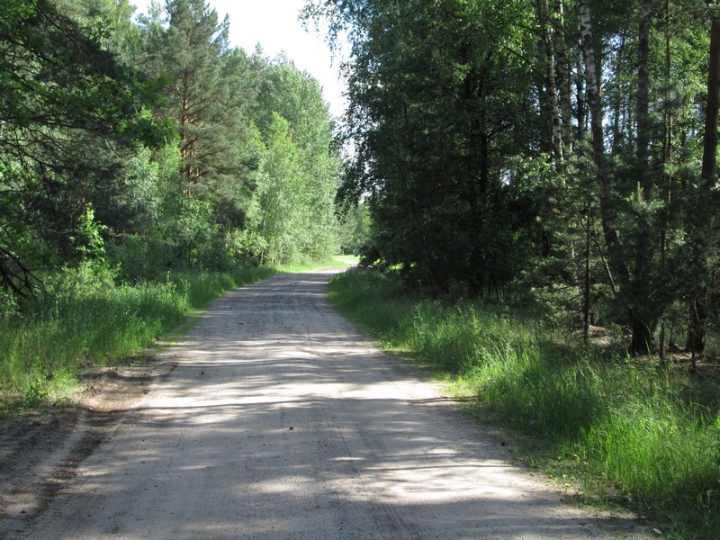 Izobrazhenie_246_2.jpg